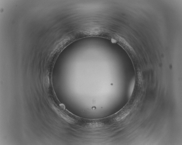 X0000074940541200609011118