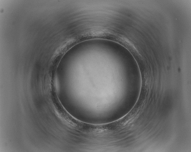 X0000074940542200609011118