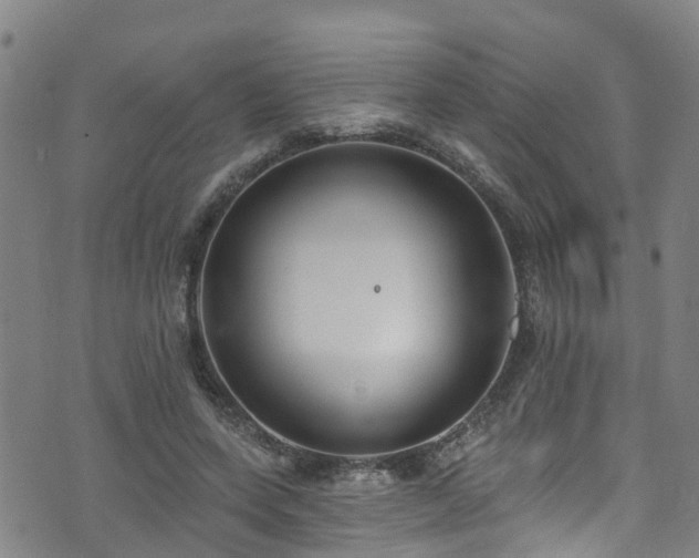 X0000074940543200609011118