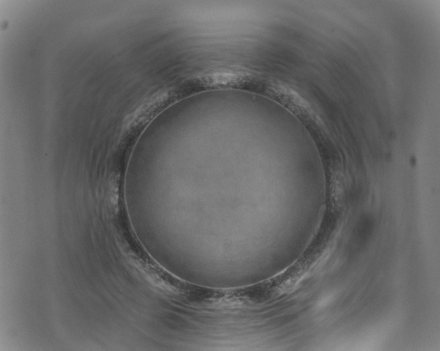 X0000074940545200609011118