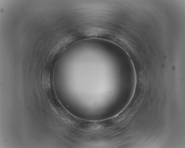 X0000074940547200609011118