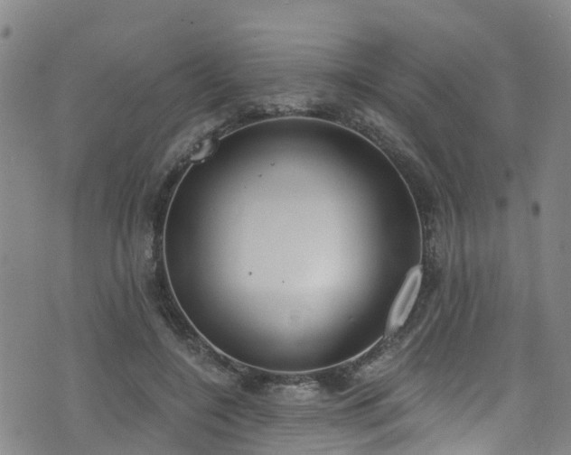 X0000074940548200609011118