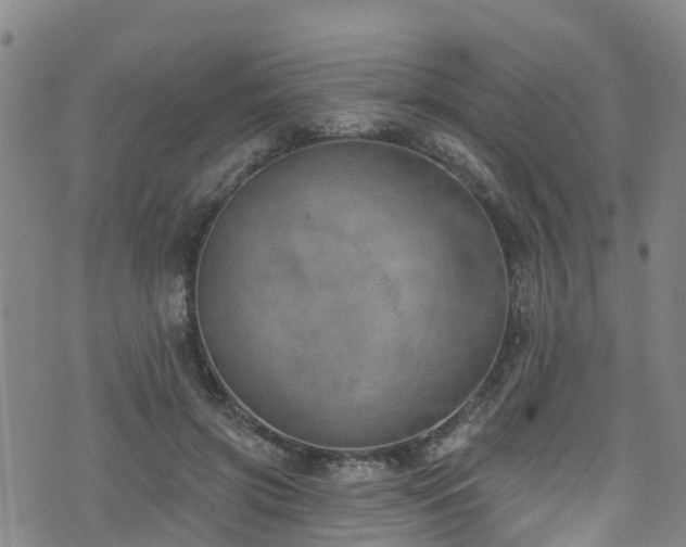 X0000074940549200609011118