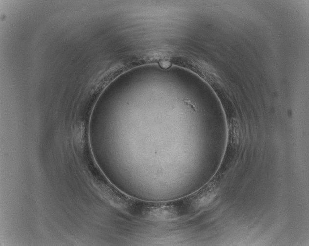 X0000074940550200609011118