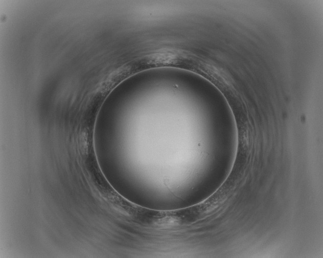 X0000074940551200609011118