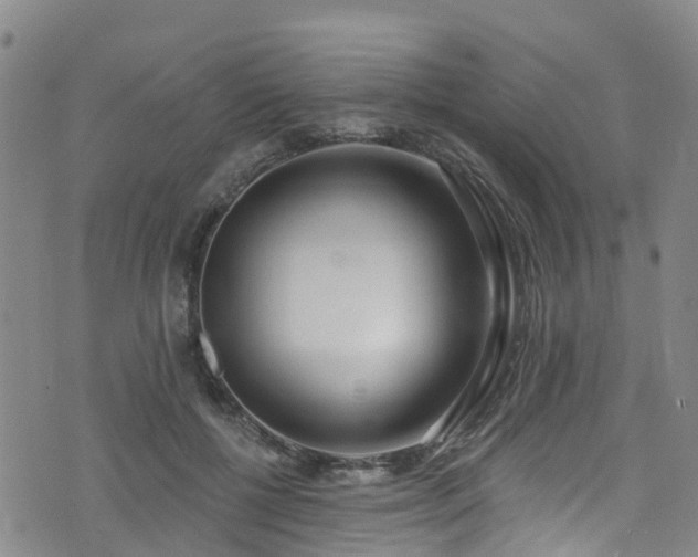 X0000074940552200609011118