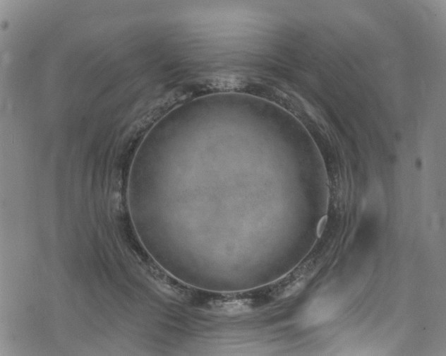 X0000074940553200609011118