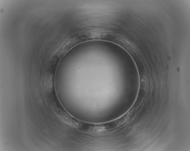 X0000074940554200609011118