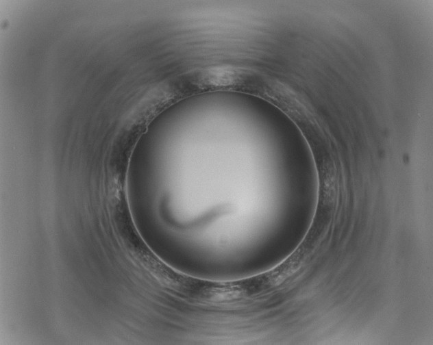 X0000074940555200609011118