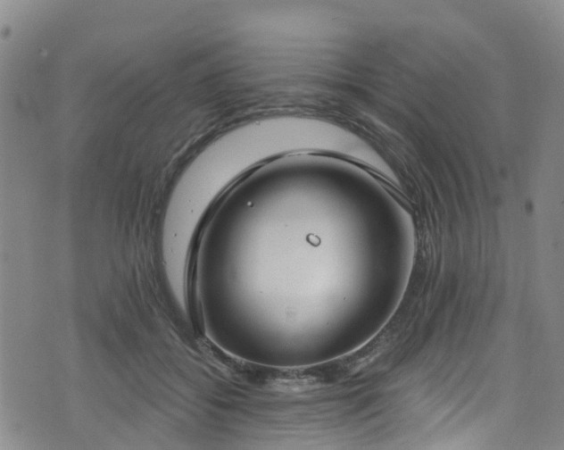 X0000074940556200609011118