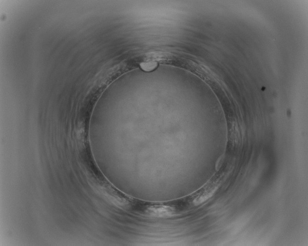 X0000074940557200609011118