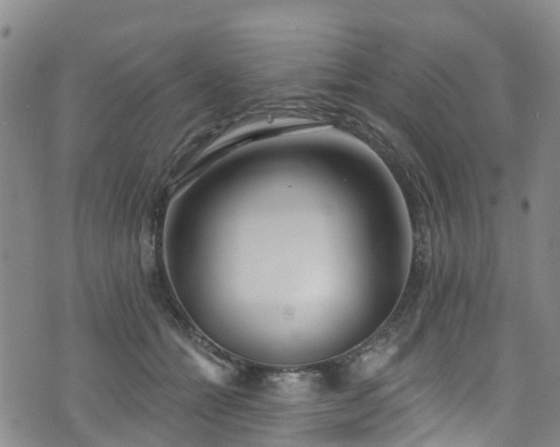 X0000074940558200609011118