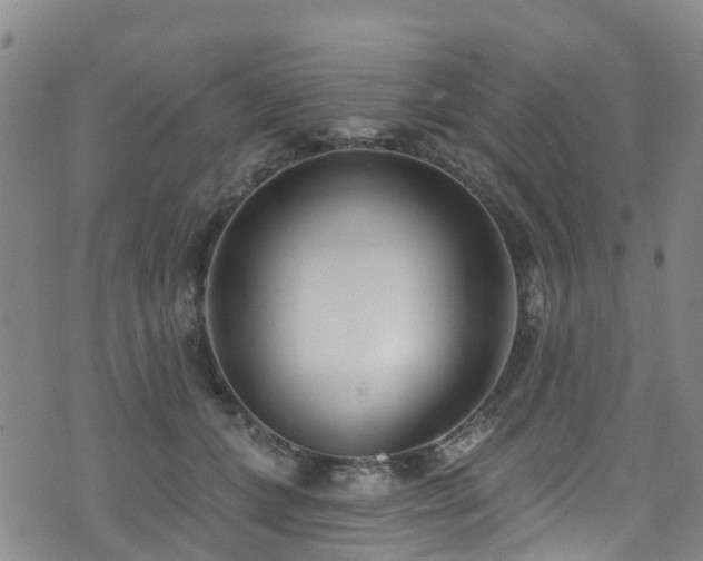 X0000074940559200609011118