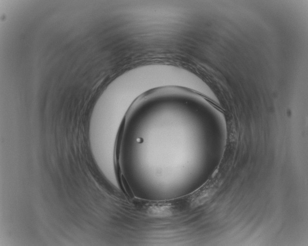 X0000074940560200609011118