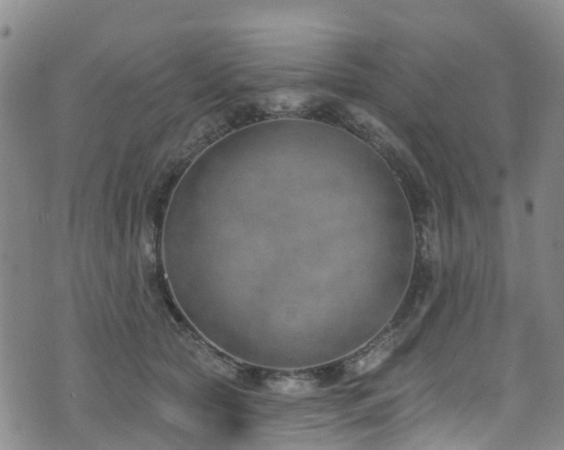 X0000074940561200609011118