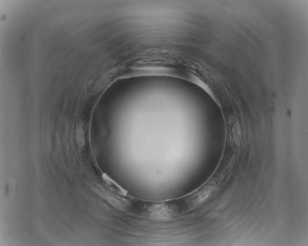 X0000074940562200609011118