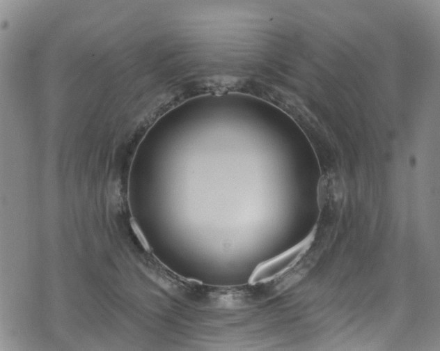 X0000074940564200609011118