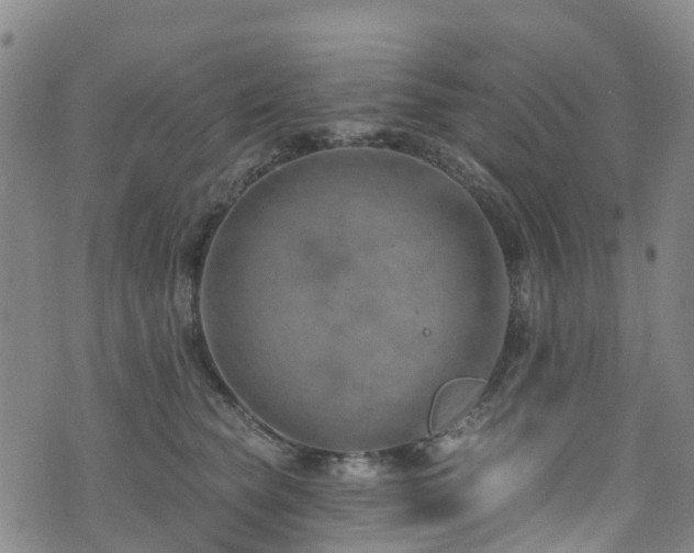 X0000074940565200609011118