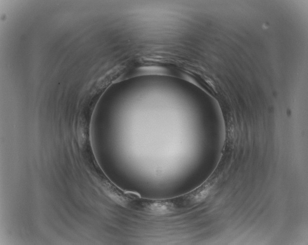 X0000074940566200609011118