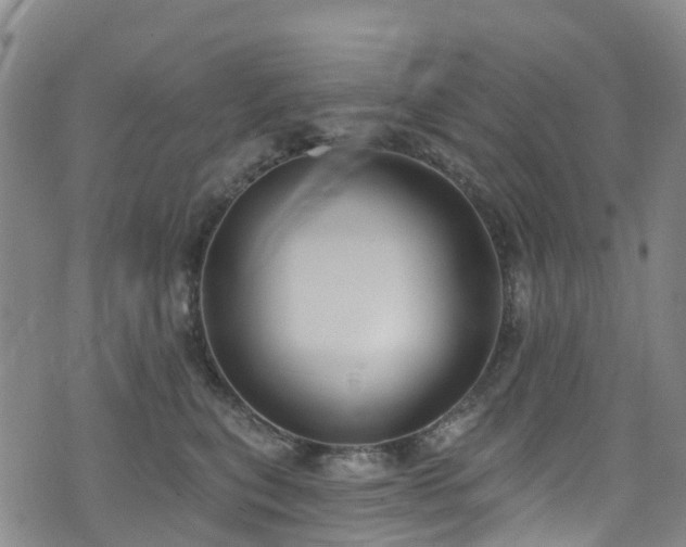 X0000074940567200609011118