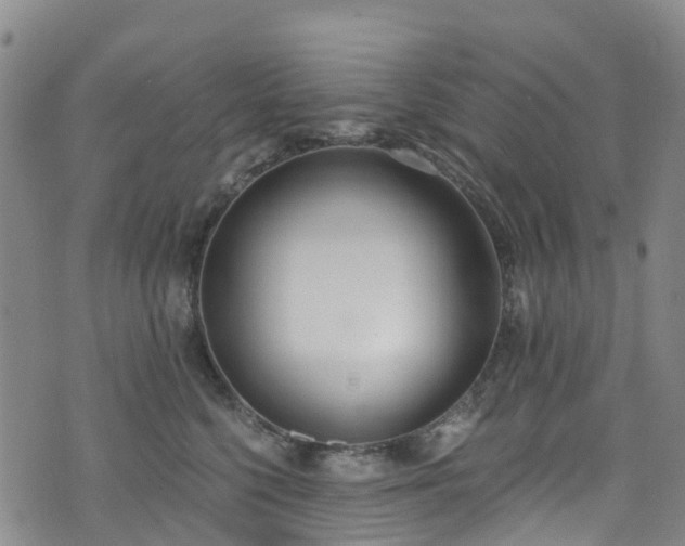 X0000074940568200609011118