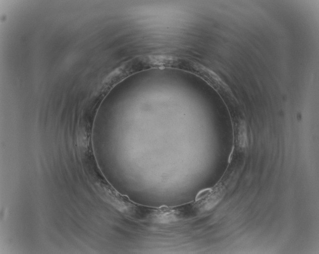 X0000074940569200609011118