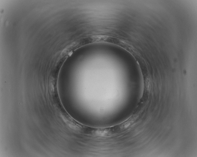 X0000074940570200609011118