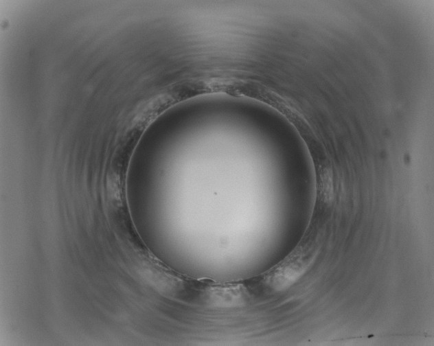 X0000074940571200609011118