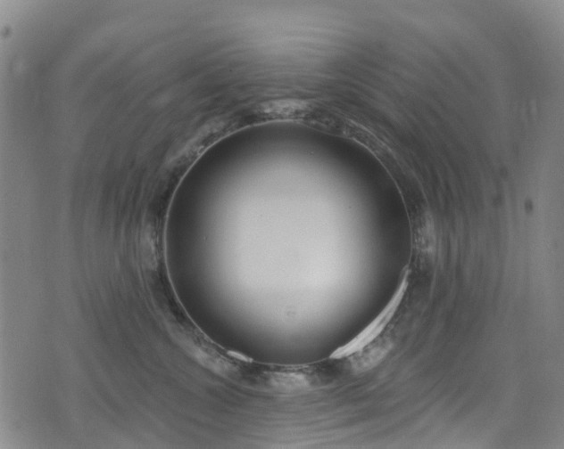 X0000074940572200609011118