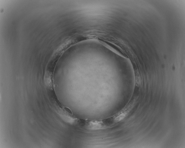 X0000074940573200609011118