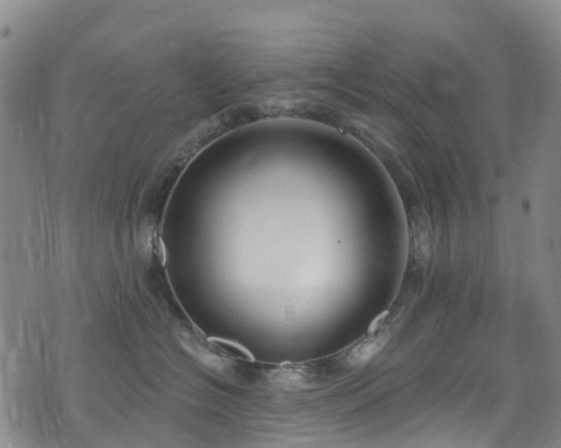 X0000074940574200609011119