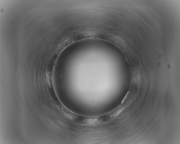 X0000074940575200609011119