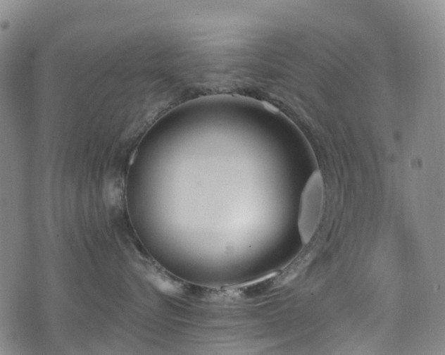 X0000074940576200609011119