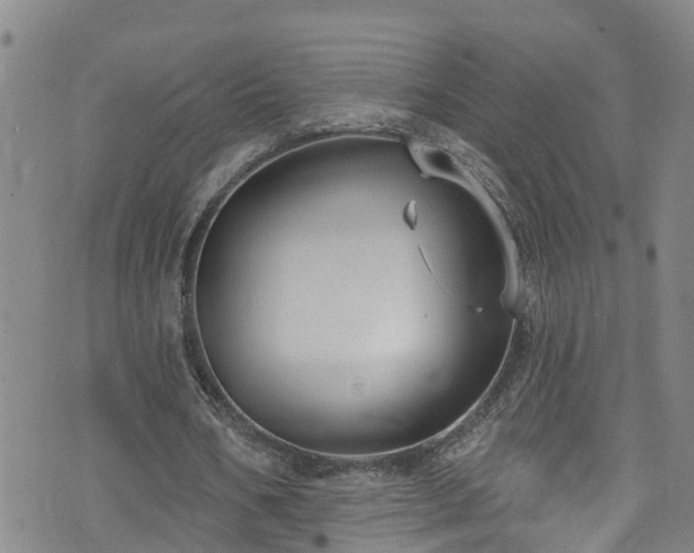 X0000074940578200609011118