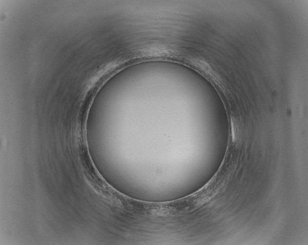 X0000074940579200609011118