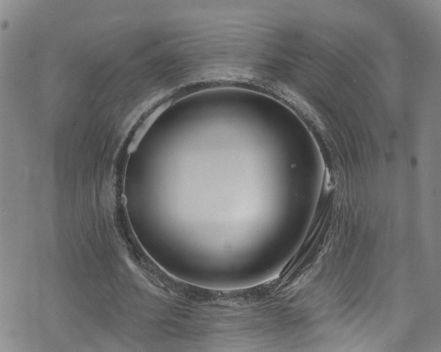 X0000074940580200609011118