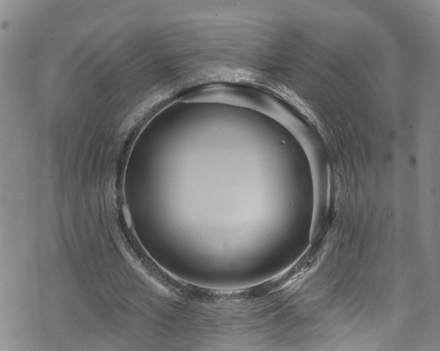 X0000074940581200609011118