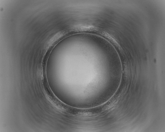 X0000074940582200609011118