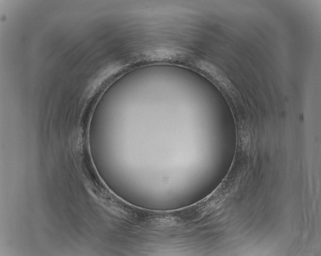 X0000074940583200609011118