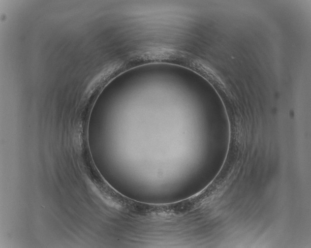 X0000074940586200609011118