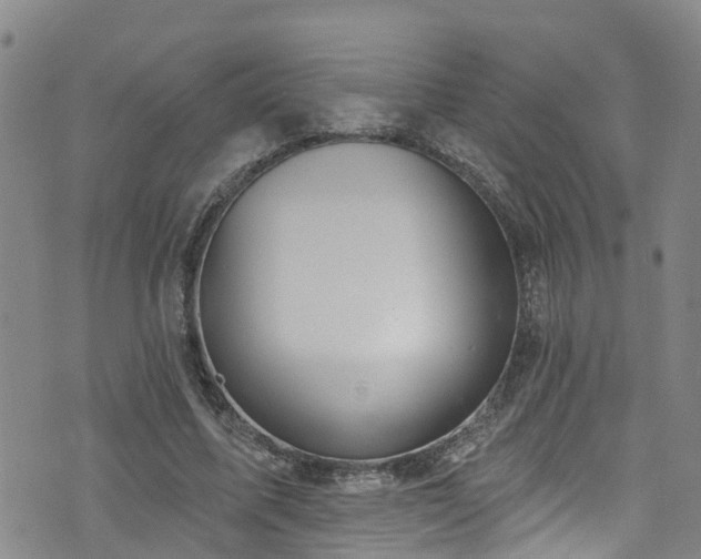 X0000074940587200609011118