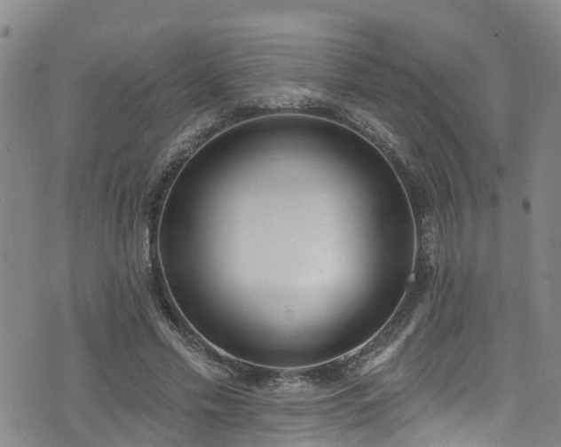 X0000074940589200609011118