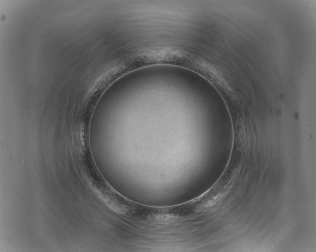 X0000074940590200609011118