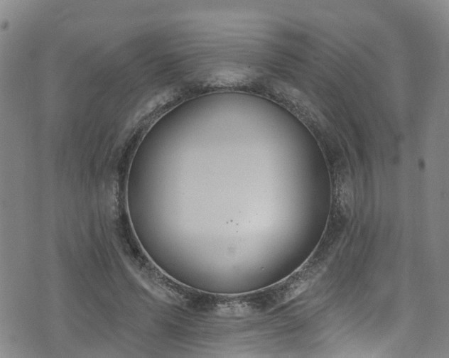 X0000074940591200609011118