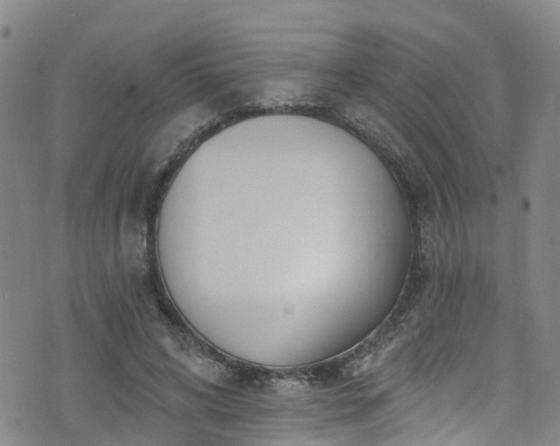 X0000074940592200609011118