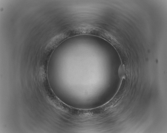 X0000074940594200609011117