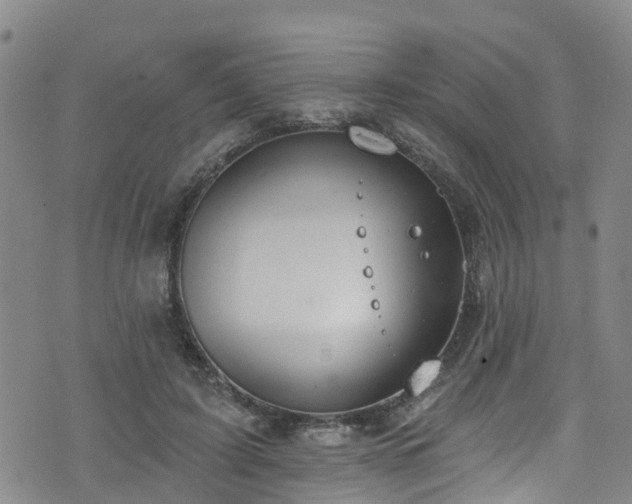 X0000074940595200609011117