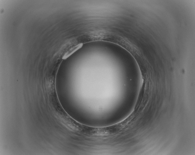 X0000074940601200609011117