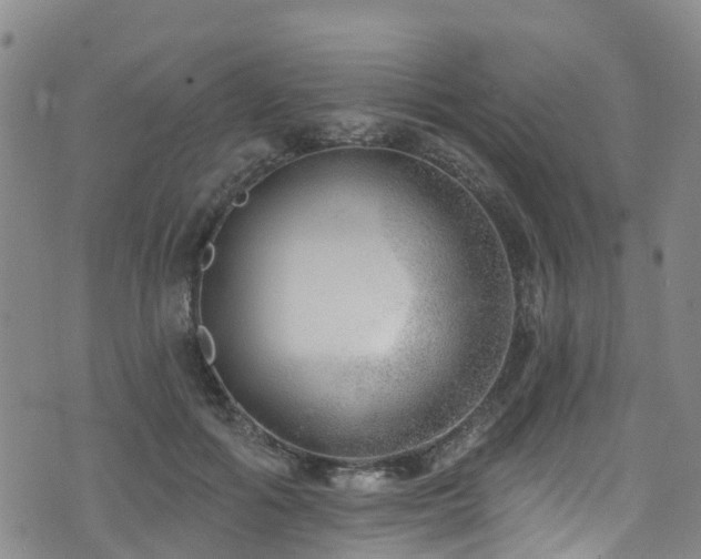 X0000074940602200609011117