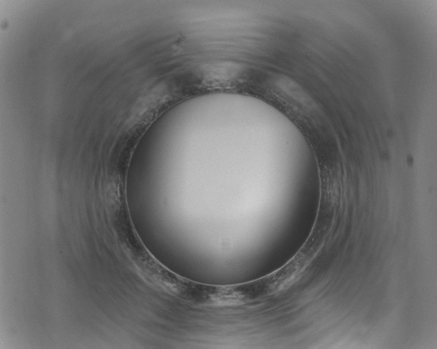 X0000074940603200609011117